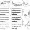 Alpha-CaMKII deficiency causes immature dentate gyrus, a novel candidate endophenotype of psychiatric disorders.