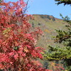 紅葉から黄葉へ前天狗①(9月15日)