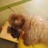 ナルシス２５ちゃん