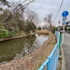 丸保山古墳の周濠（大阪府堺）