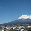 エレン・ペイジの新番組"Gaycation"が局トレイラーに登場