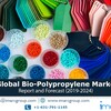 Bio-Polypropylene Market Research Report 2019, Industry Trends, Share, Size, Demand and Future Scope