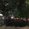 『フェイクなお話し』と読書『戦前日本のポピュリズム』と『1019再稼働反対！首相官邸前抗議