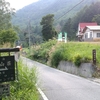 良くなってきました