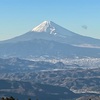 年の初めに素晴らしきかな✨