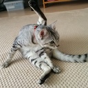 こだわり屋の素直さん