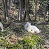 僕らは帰る、それぞれの地へ【宇都宮3日目】