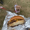 ドッグフェス