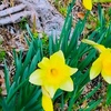 ３月１０日