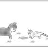 天国への案内猫