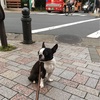 土曜日には