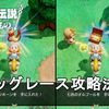 【ゼルダの伝説 知恵のかりもの】誰でも簡単！フラッグレース攻略法解説！七色のオルゴール、つっぱりホーン入手！The Legend of Zelda: Echoes of Wisdom Flag Race