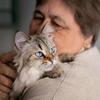 セルゲイ・ドクチャエフ🍀高齢者が猫を飼う理由：健康と孤独解消の効果