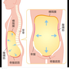 お腹が張る理由。。