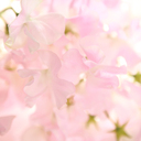 アトリエ花空間