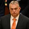 オルバン首相、米国はハンガリーを戦争に追い込むことはできないと発言。他の欧州諸国は彼の政策に従うのが賢明だ