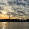 岩本式Week 1終了