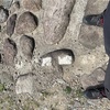 糸魚川ポタリング①「糸魚川ー静岡構造線」を跨ぐ！