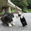 5月21日（月）深島に行きます