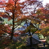 秋の普門寺