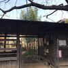 ジョギングコース1　My jogging course 1