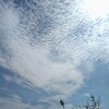 【心と感情と気持ちはおなじものではない】感情と気持ちが混ざりあって生まれた心が、自分を含めたひとを動かす