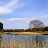 昭和記念公園