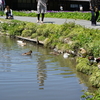 静岡県　掛川市　加茂荘花鳥園に行って来ました②