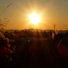 久しぶりの夕方散歩