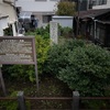 小田原城の総構えの規模の凄さに感嘆し、真鶴で地魚を満喫して、突貫工事で築城された石垣山城の本格的な設計に驚くお話。前編