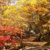 紅葉の山伏