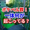 ポケベル葬！？裕木奈江のポケベルが鳴らなくて？数字の意味は？