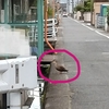 ブログとレオンに助けられた