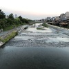 鴨川散歩