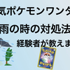 大人気ポケモンワンダー！予約日が大雨の時の対処法を台風直撃日に体験した経験から教えます。