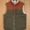 patagonia Down Vest
