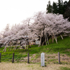 小旅行　パート4　（今年最後の桜）