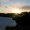 八重山諸島のねこさん