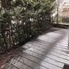 雪 のち 墓参り