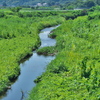 高田川