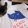 この夏も、猫庭さんのTシャツにお世話になります