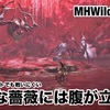 綺麗な薔薇には腹が立つ 〜 MHWilds #111