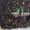 免許更新と、嬉しいお知らせふたつ！