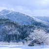 二段階移住がおすすめらしいが・・・