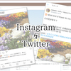 Twitter初心者にもできた！インスタ投稿を、画像つきでツイッターにも投稿する方法 / ifttt（イフト）の設定　