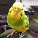 私の小さなネイルサロン