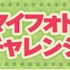 どうぶつの森ポケットキャンプ🍀マイフォトチャレンジ