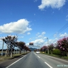 サルスベリ並木（秋田県井川町）と道の駅五城目（秋田県五城目町）