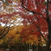 紅葉を見に行く　愛宕山登山ツアー　後編