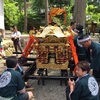 池田大祭で神輿を担ぐ。